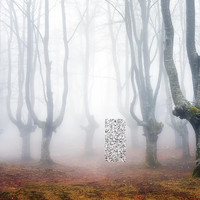 Sparky - be the change