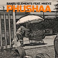 Bantu Elements - Pushaa (feat. Mkeyz)