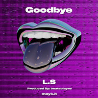 L.S - Goodbye