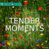 Sully Burton - Tender Moments
