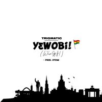Trigmatic - Yɛwobi (We've Got It)