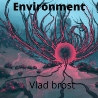 Vlad Brost - Environment