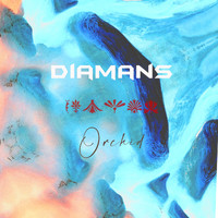 Diamans - Orchid