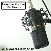 A.I.C Mwanza Town Choir - Tangaza Mwaka Wa Bwana