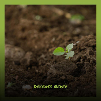Various Artists - Decease Never