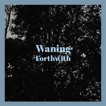 Various Artists - Waning Forthwith