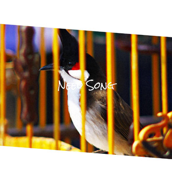 Various Artists - Need Song