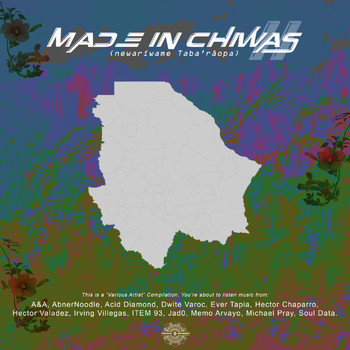 Various Artists - MADE IN CHIWAS VOL. 2