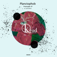 Planctophob - Phalangida