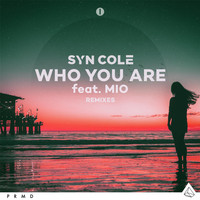 Syn Cole - Who You Are (Remixes)