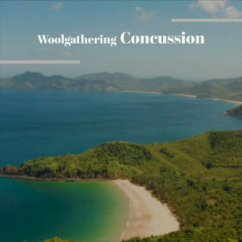 Various Artists - Woolgathering Concussion