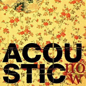 Various Artists - Acoustic Now