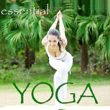 Various Artists - Essential Music For Yoga