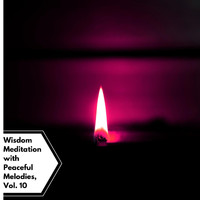Serenity Calls - Wisdom Meditation With Peaceful Melodies, Vol. 10
