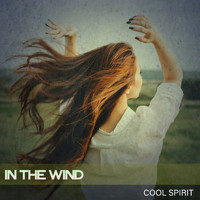 Cool Spirit - In the Wind