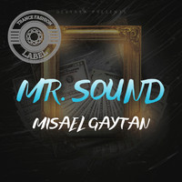 Misael Gaytan - Mr. Sound