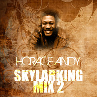 Horace Andy - Skylarking (Mix 2)
