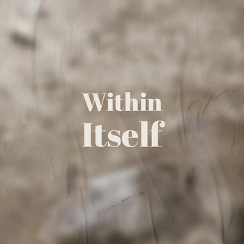 Various Artists - Within Itself