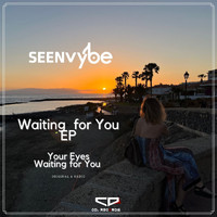 sEEn Vybe - Waiting for You