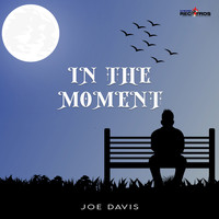 Joe Davis - In The Moment