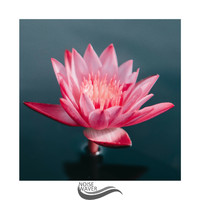 Lullabies for Deep Meditation - Loud ASMR