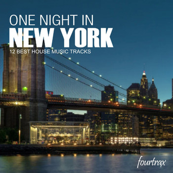 Various Artists - One Night In New York
