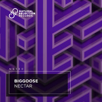 Biggoose - Nectar