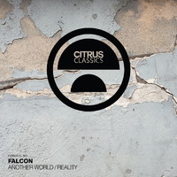 Falcon - Another World / Reality