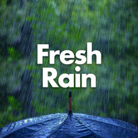 Relaxing Chill Out Music - Fresh Rain