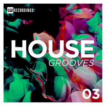 Various Artists - House Grooves, Vol. 03