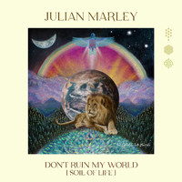 Julian Marley - Don't ruin my world (Soil of life)