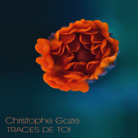 Christophe Goze - Traces De Toi