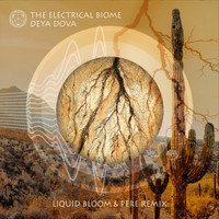 Deya Dova - The Electrical Biome (Liquid Bloom & PERE Remix)