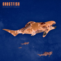 Redtenbacher's Funkestra - Ghostfish (Masterlink Sessions)