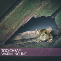 Warm Incline - Too Cheap