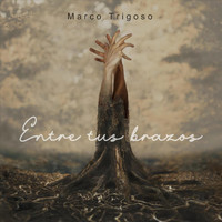 Marco Trigoso - Entre Tus Brazos