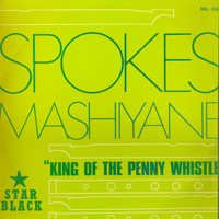 Spokes Mashiyane - King of the Pennywhistle