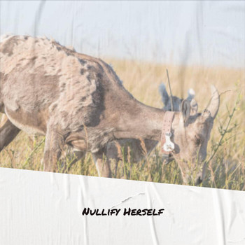 Various Artists - Nullify Herself