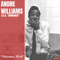 Andre Williams - Christmas Wish