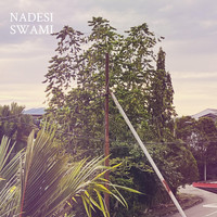 Nadesi - Swami