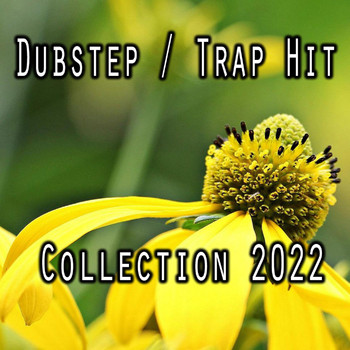 Various Artists - Dubstep / Trap Hit Collection 2022
