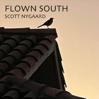 Scott Nygaard - Flown South