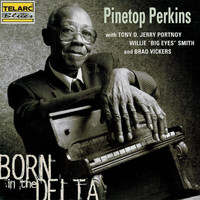 Pinetop Perkins - Born In The Delta