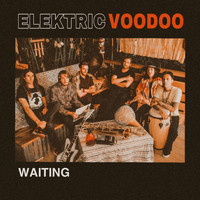 Elektric Voodoo - Waiting