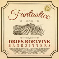 Dries Roelvink - Fantastico
