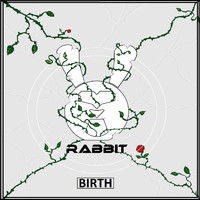 Rabbit - Birth