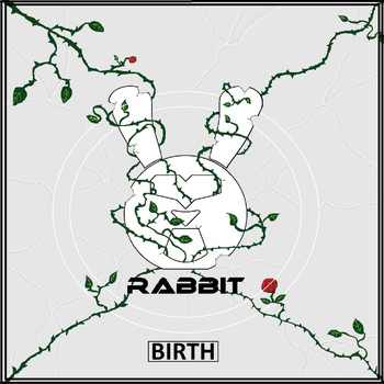 Rabbit - Birth