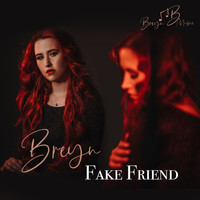 BREYN - Fake Friend