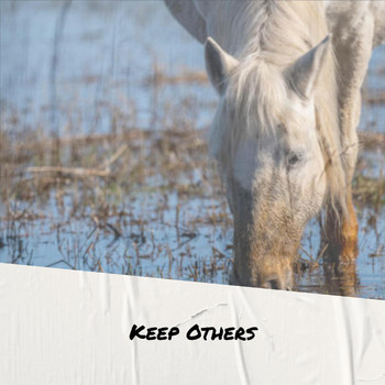 Various Artists - Keep Others