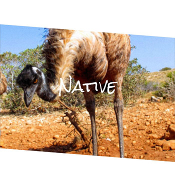 Various Artists - Native